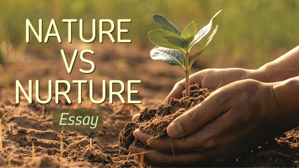 nature vs nurture essay