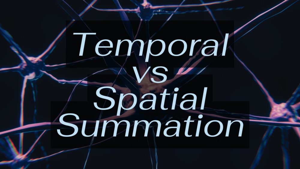 temporal vs spacial summation