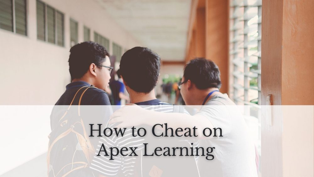 How to Cheat on Apex Learning