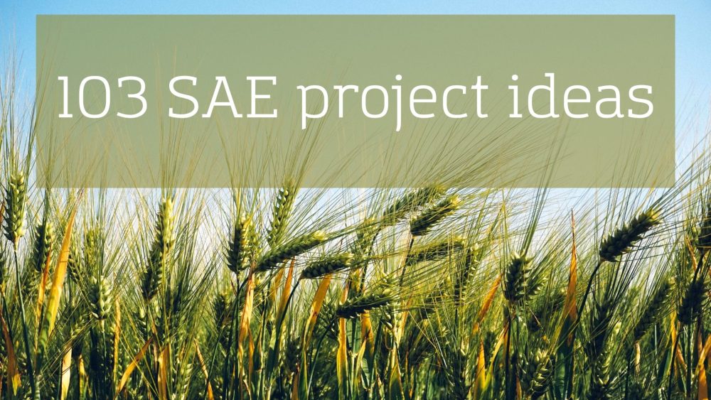 103 SAE project ideas